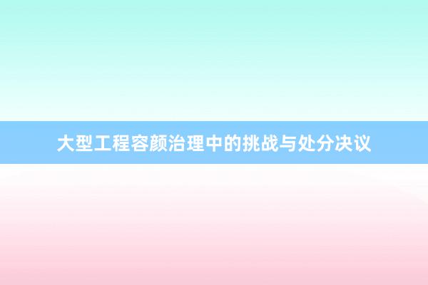 大型工程容颜治理中的挑战与处分决议